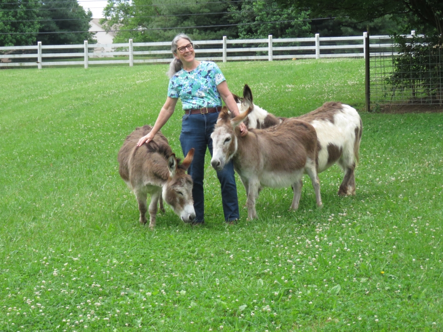 Martha and donkeys 